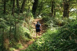 Trail de Brocéliande