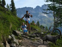 Trail de la Castagniccia