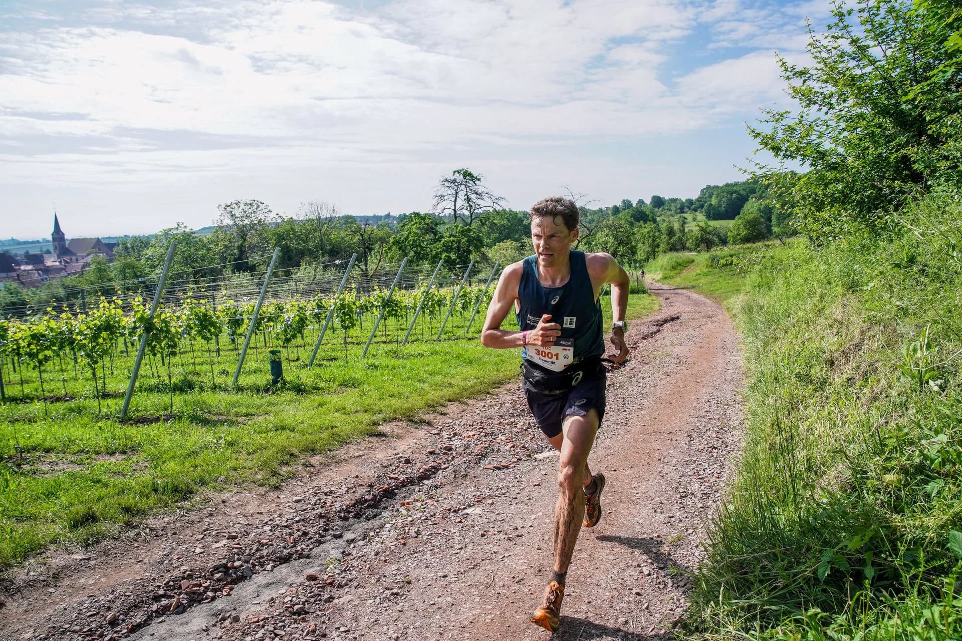 Photo de la course 50K Alsace Grand Est
