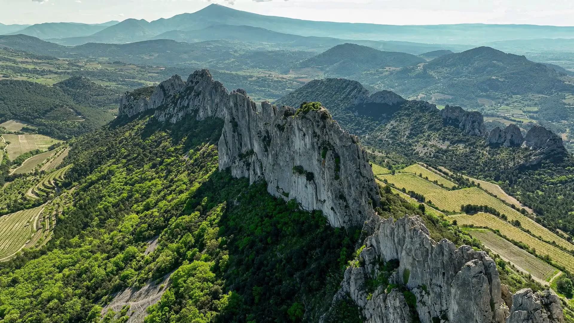 Photo de la course Grand Raid Ventoux 100K
