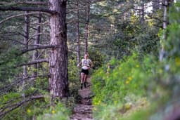 Grand Raid Ventoux 50K