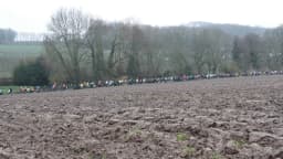 Trail des Marcassins