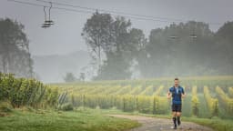 Trail des Monts de Flandre