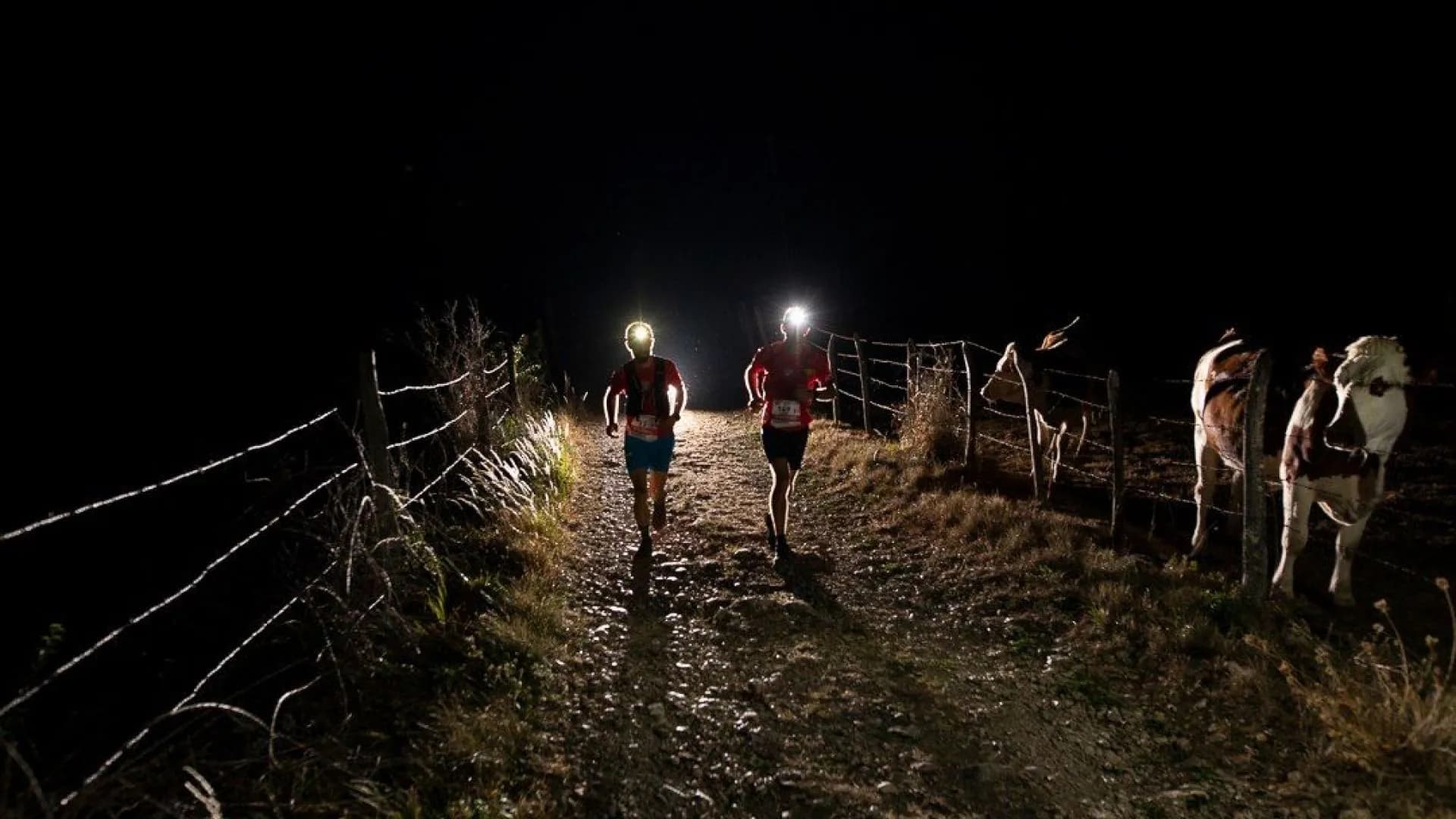 Trace des Maquisards