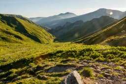 VVX - Expérience Impluvium