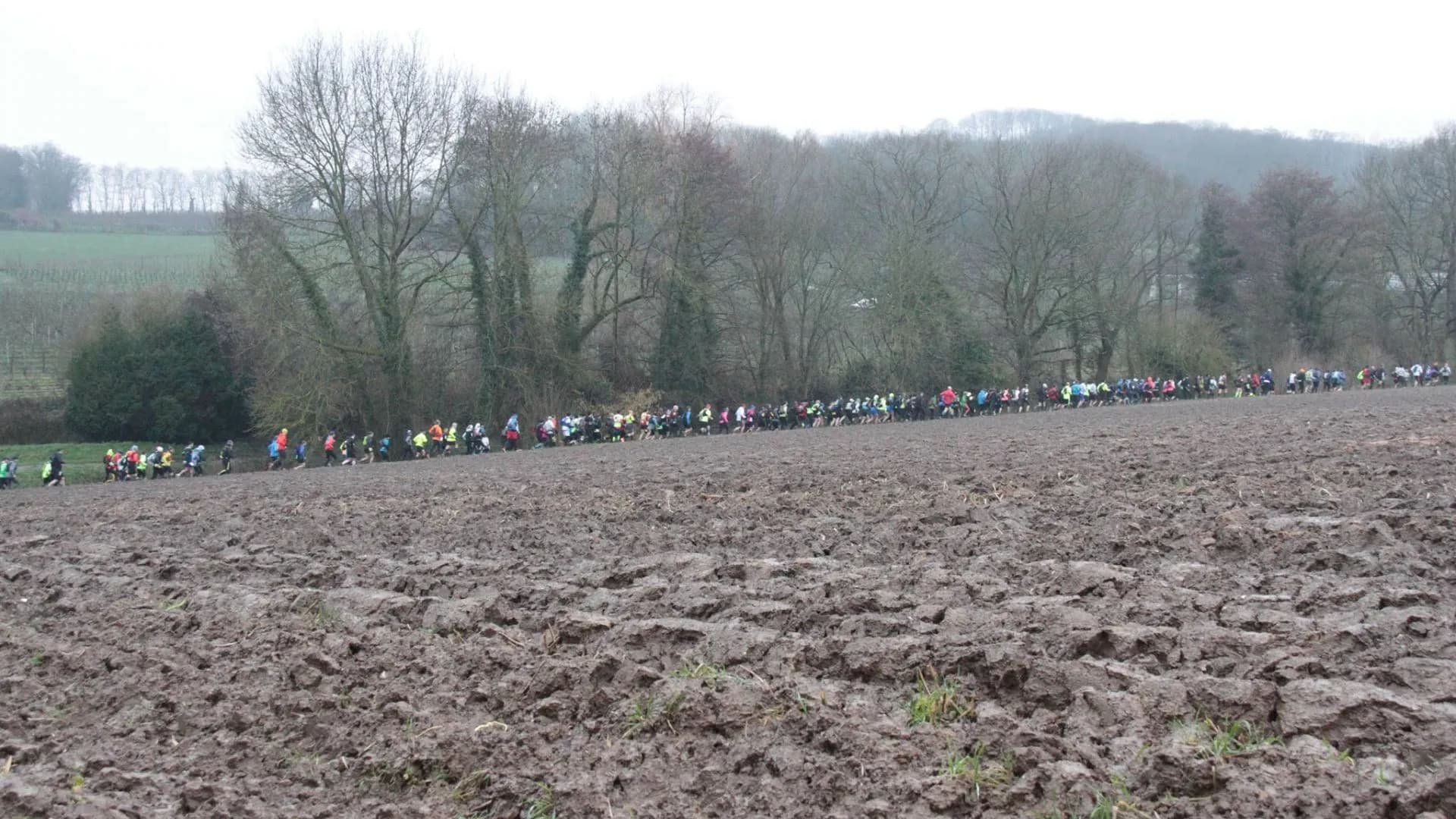 Trail des Marcassins