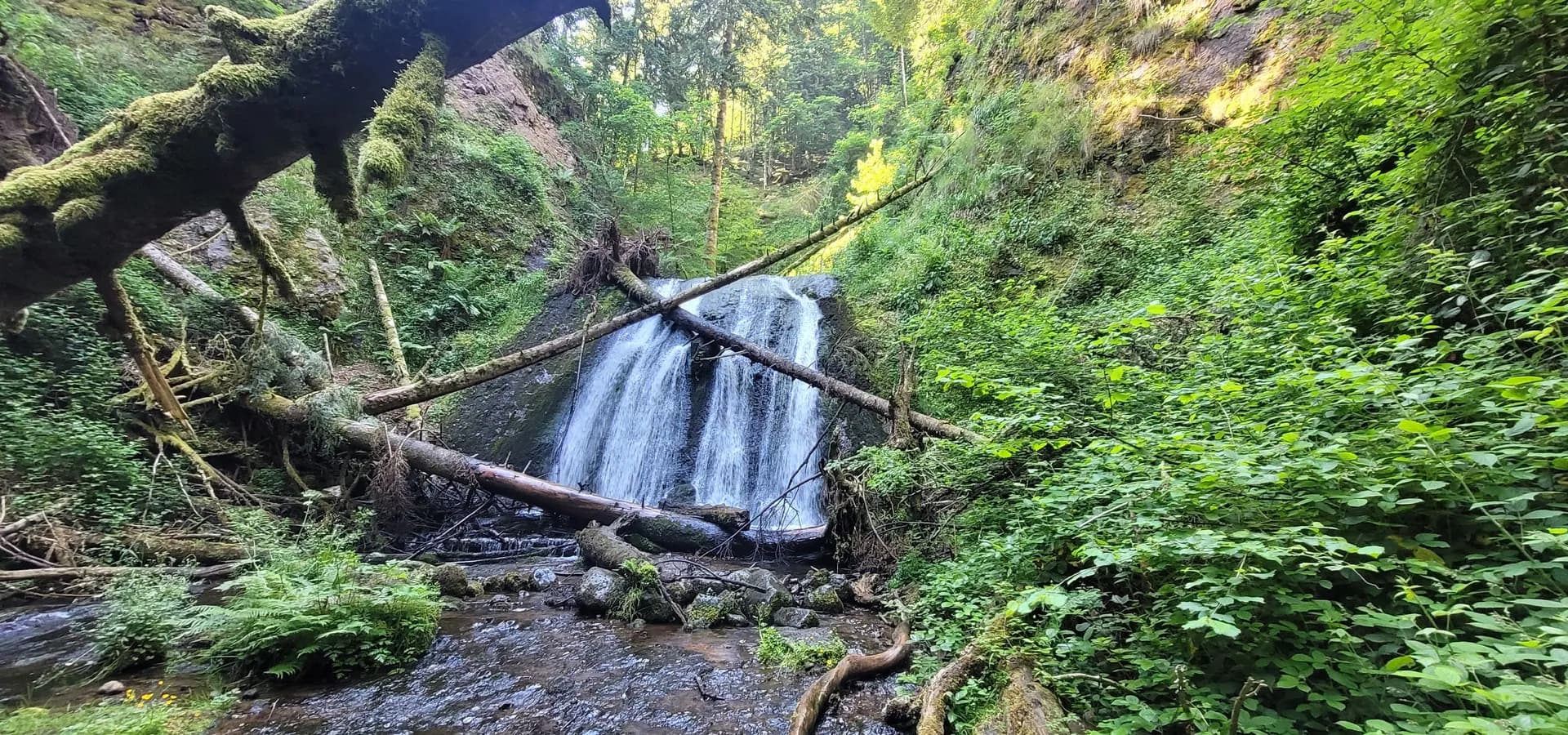 Trail du Saut du Loup